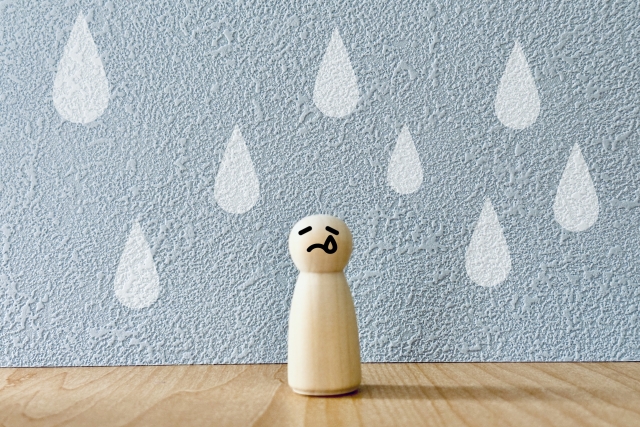 秋の長雨と腰痛の意外な関係