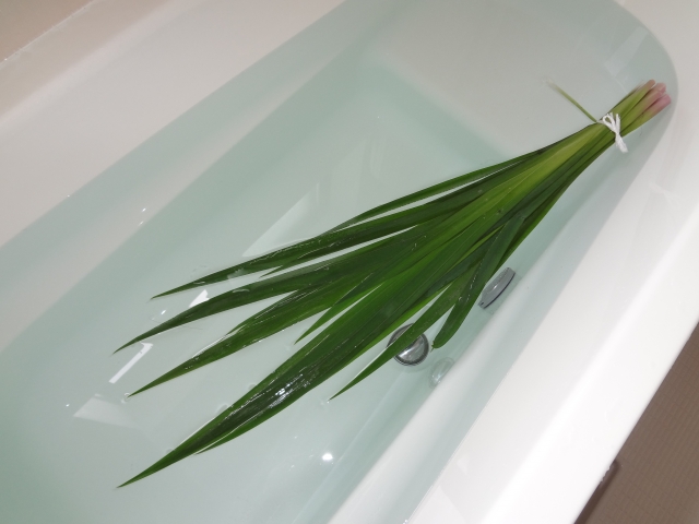 菖蒲湯は「天然の薬湯」。科学で紐解く自律神経ケア
